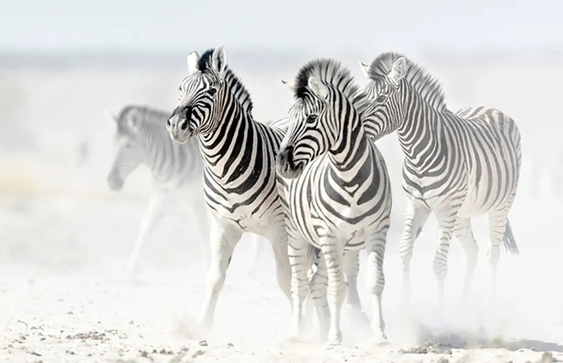 Botswana Botswana
