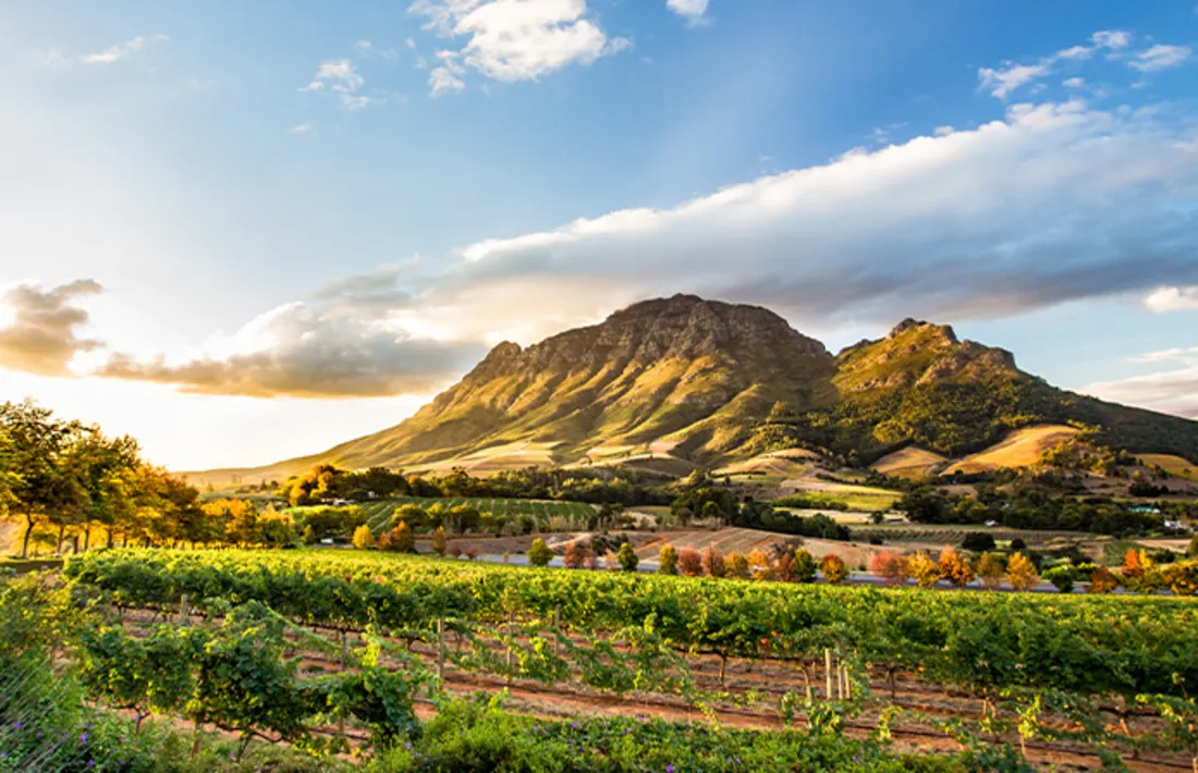 Stellenbosch, Südafrika Stellenbosch, Südafrika