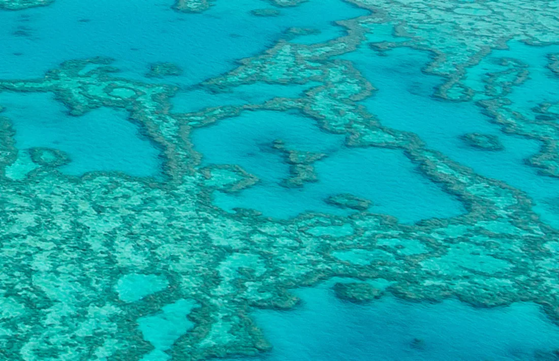 Great Barrier Reef, Australia