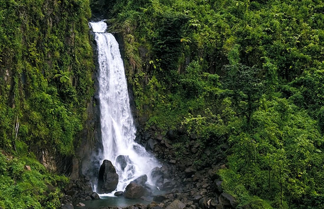 Trafalgar Falls, Dominica, Karibik Trafalgar Falls, Dominica, Karibik
