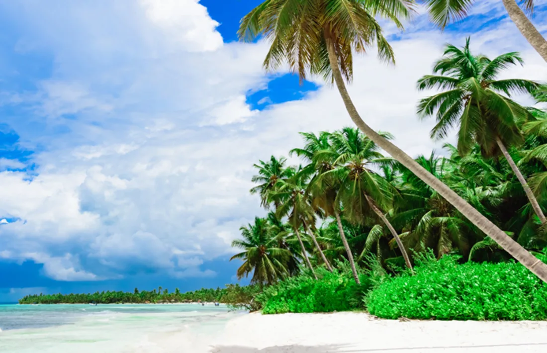Caribbean Sea coast white sand resort beach palm tree Dominican Republic Caribbean Sea coast white sand resort beach palm tree Dominican Republic