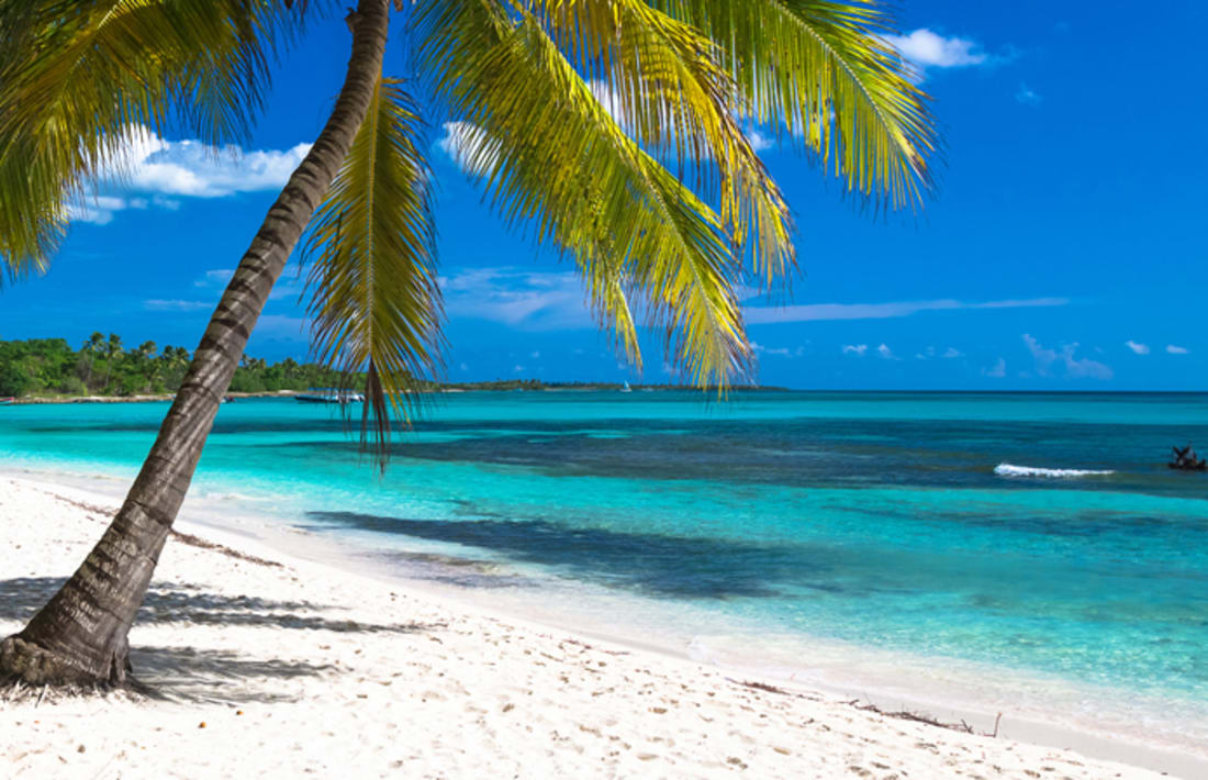 Tropischer Strand im Karibischen Meer, Saona Insel, Dominikanische Republik. Tropischer Strand im Karibischen Meer, Saona Insel, Dominikanische Republik.