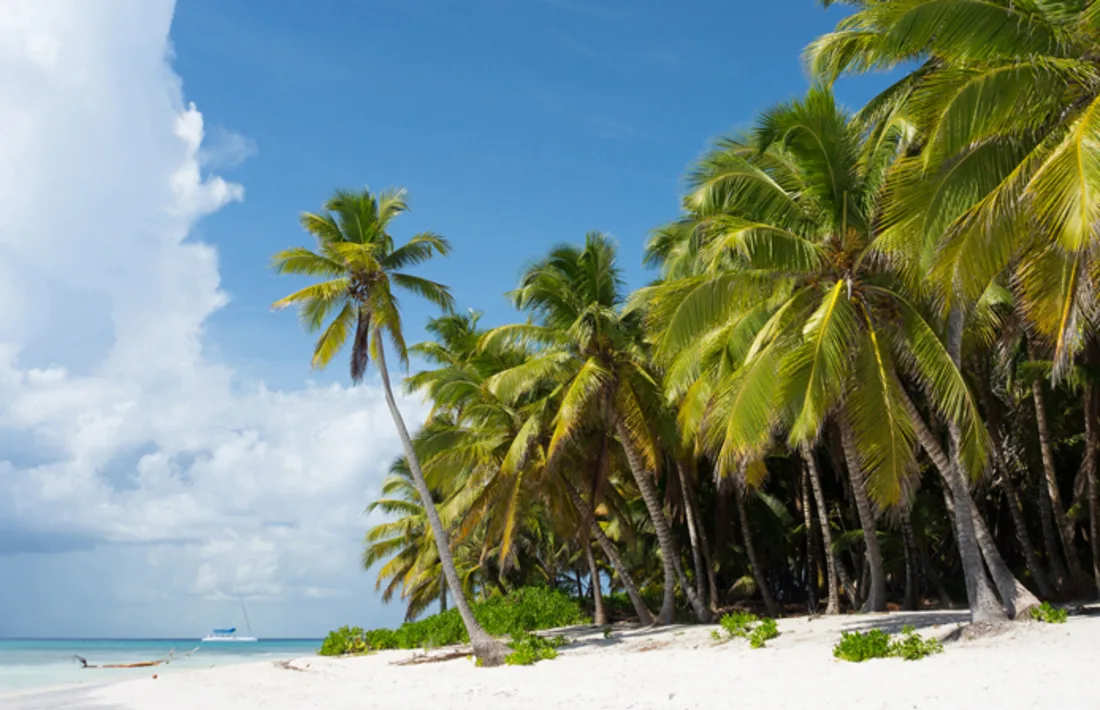 Insel Saona in Punta Cana, Dominikanische Republik Insel Saona in Punta Cana, Dominikanische Republik