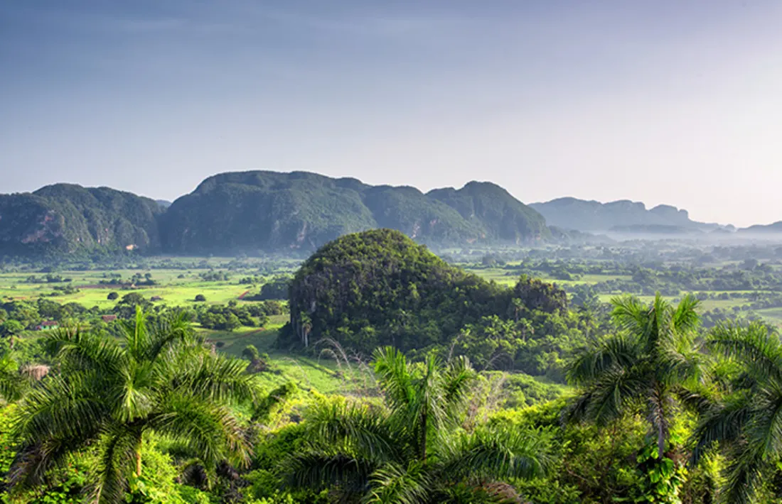 Schöner Blick auf Grünflächen, Bäume und Mogoten im Vinales Valley Kuba
