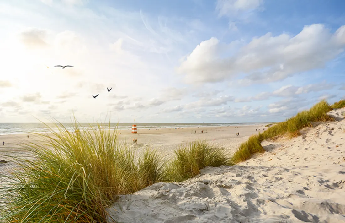 Deutschland, Sylt Deutschland, Sylt