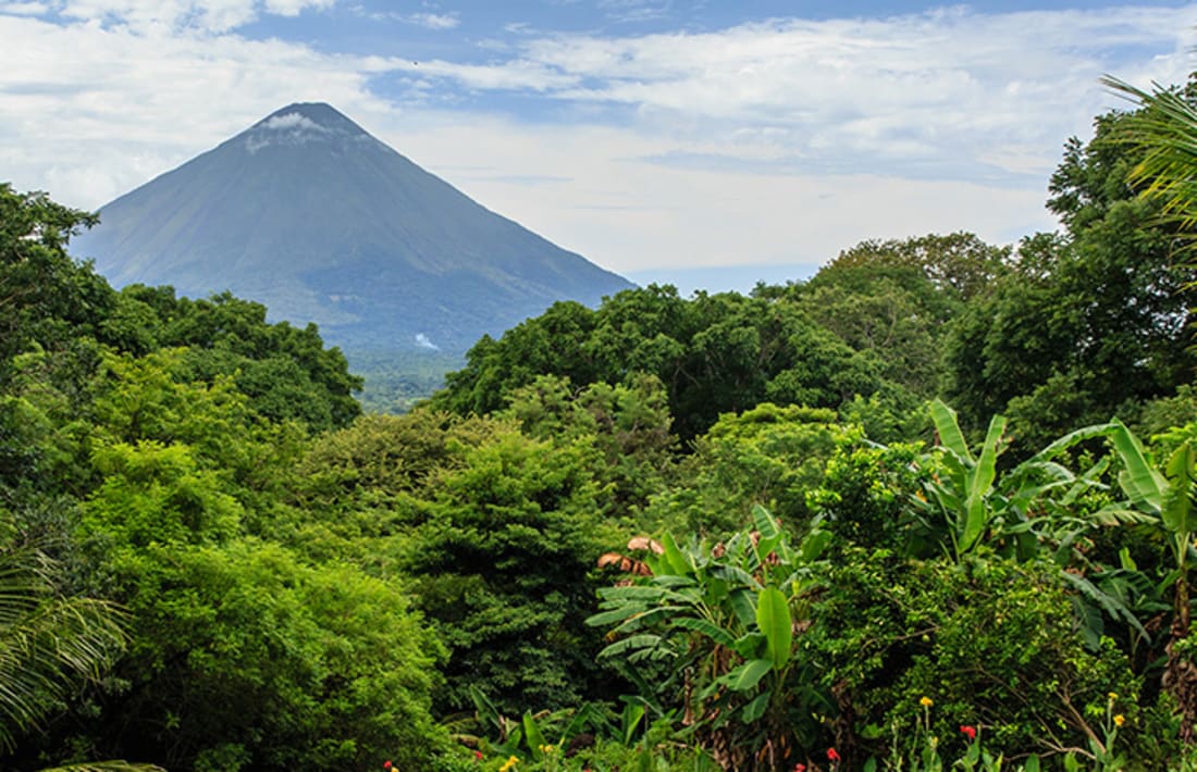 Urwald in Nicaragua