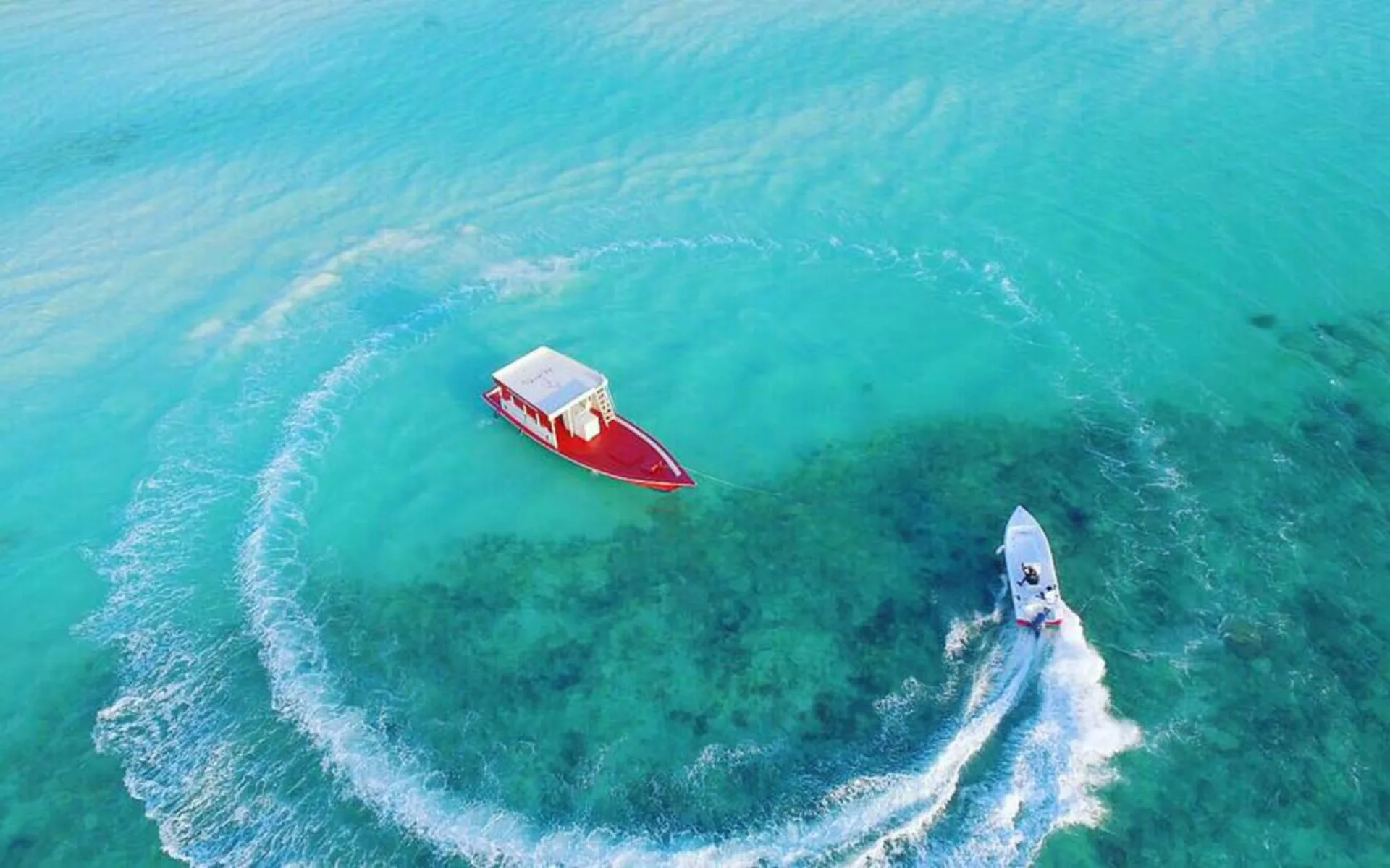 Reveries Diving Village in Laamu Gan: activities: Reveries Diving Village in Laamu Gan: activities: