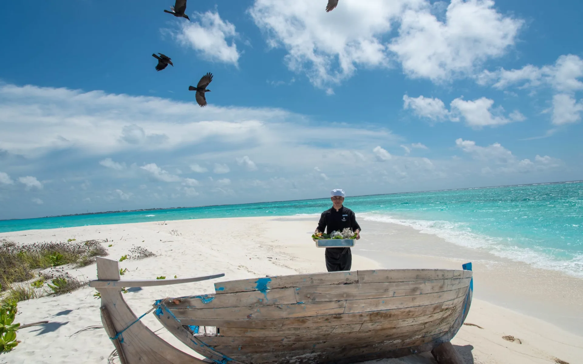 Hideaway Beach Resort & Spa in Haa Alifu-Atoll: activities: Hideaway Beach Resort & Spa in Haa Alifu-Atoll: activities: