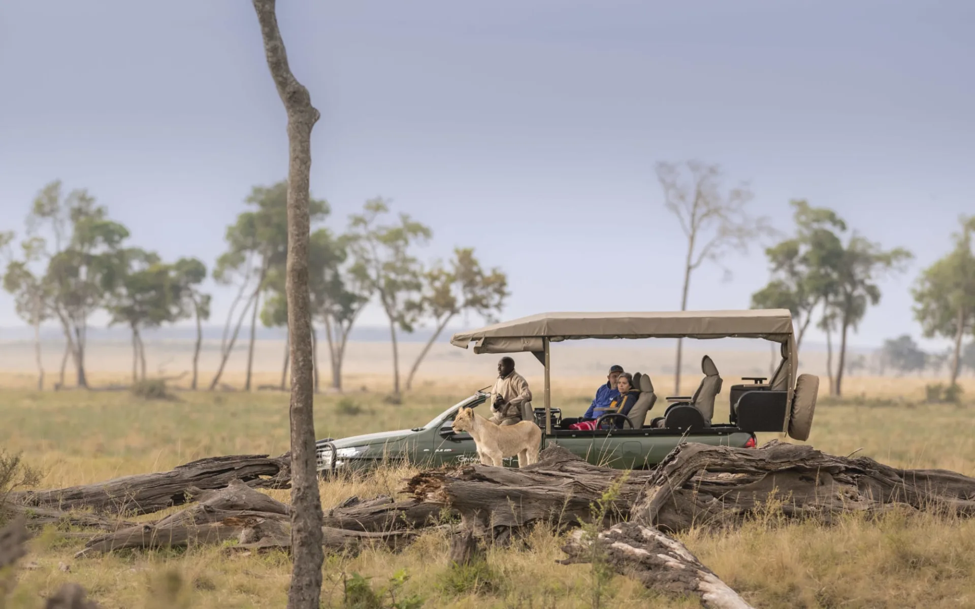 Governors' Camp in Masai Mara: activities: Governors' Camp in Masai Mara: activities: