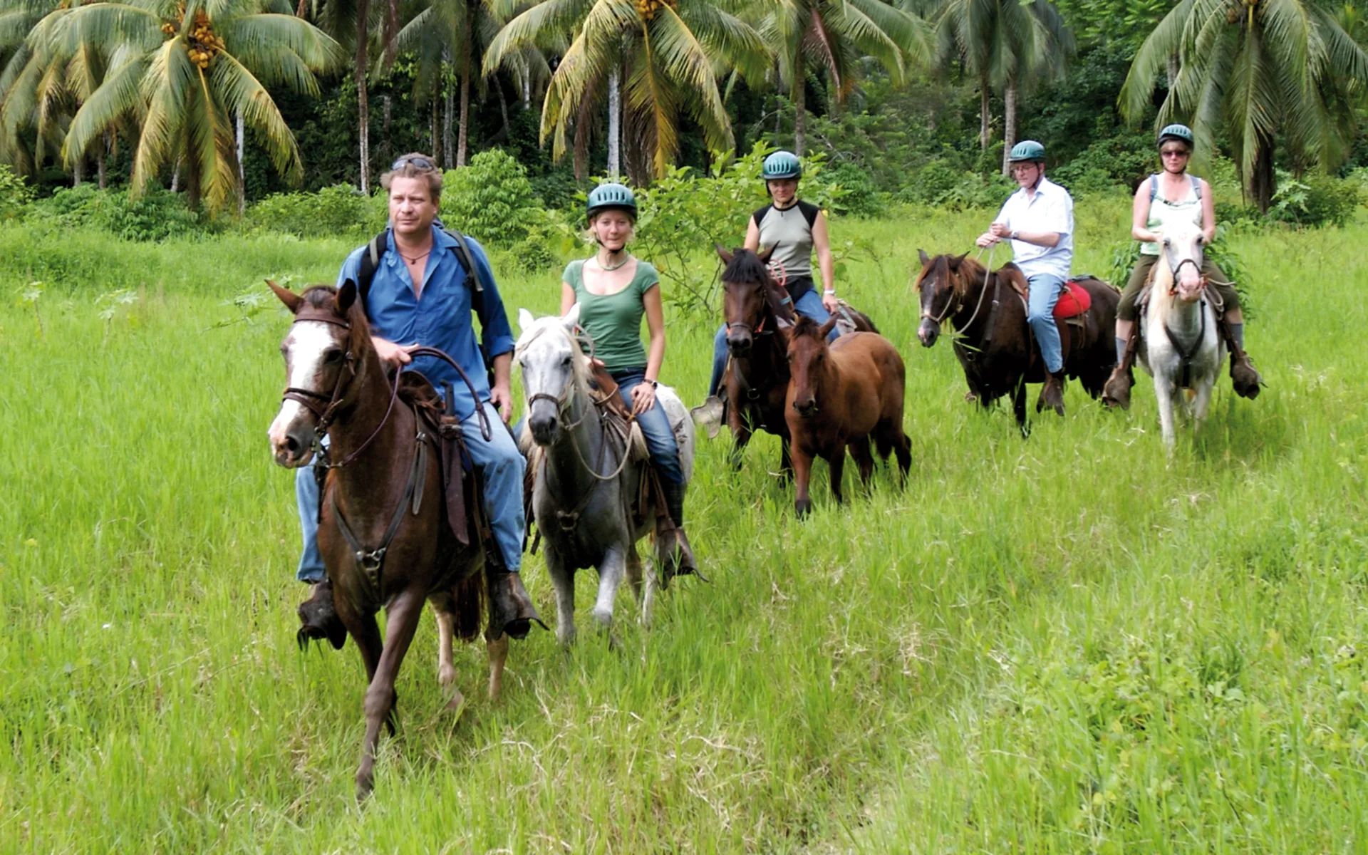 Selva Bananito ab Puerto Limon: activities: Selva Banannito - Perdeausritt Selva Bananito ab Puerto Limon: activities: Selva Banannito - Perdeausritt