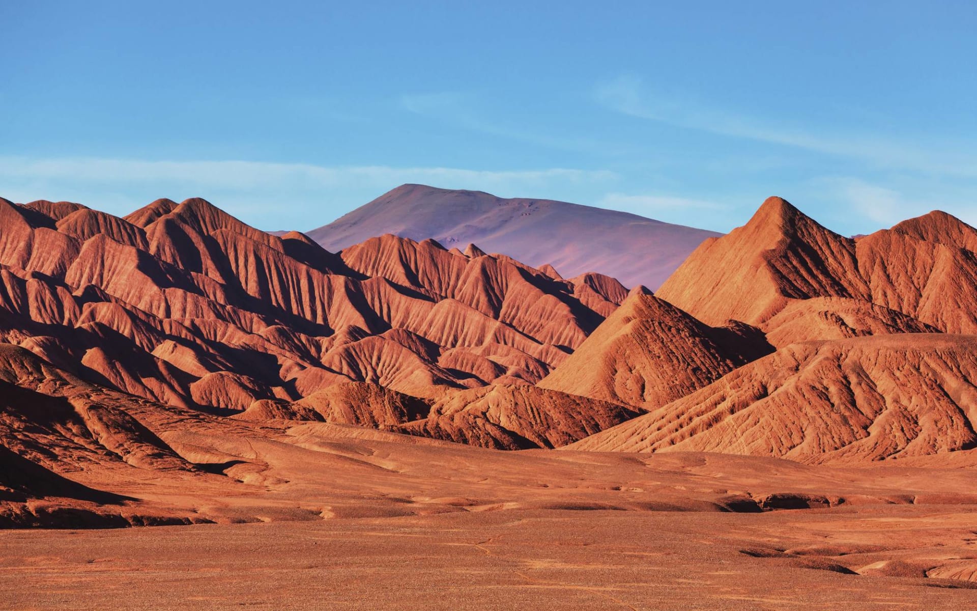 Privatreise Atacama Wüste und Geysire ab Calama: Atacama
