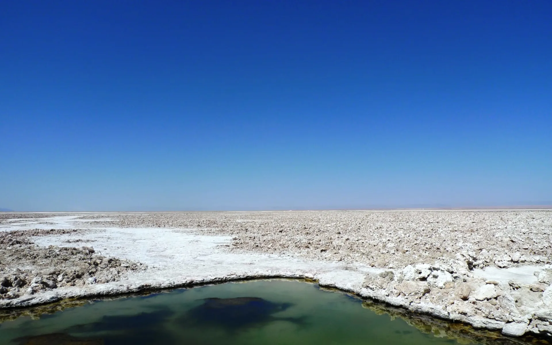 Zubucherreise Von Salta durch die Atacama Wüste: Salar de Atacama Zubucherreise Von Salta durch die Atacama Wüste: Salar de Atacama