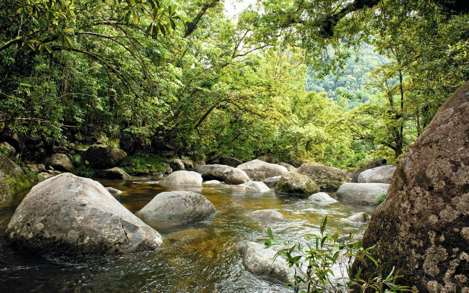 Cape York Safari ab Cairns: Australia - Queensland - Bach Cape York Safari ab Cairns: Australia - Queensland - Bach