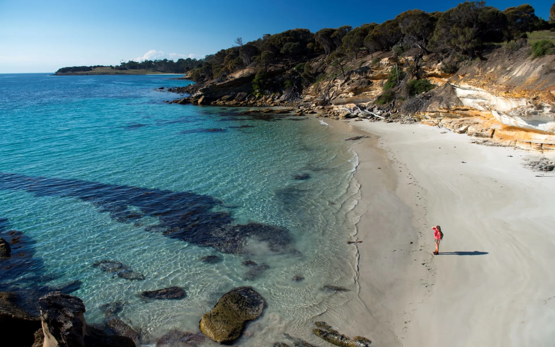 Coastal Wilds of Tasmania ab Hobart: Australia - Tasmania - Maria Island - Beach Walk Coastal Wilds of Tasmania ab Hobart: Australia - Tasmania - Maria Island - Beach Walk