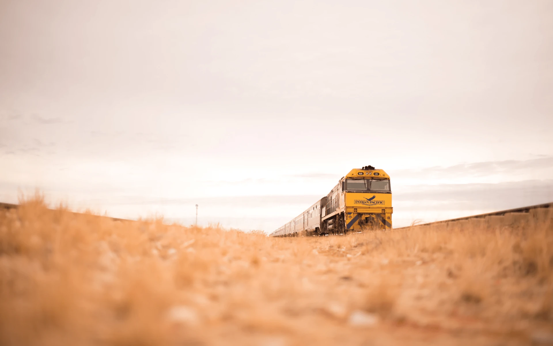 Indian Pacific von Perth nach Adelaide: Australien - Bahnreisen - Indian Pacific auf Grasfläche 2018 Indian Pacific von Perth nach Adelaide: Australien - Bahnreisen - Indian Pacific auf Grasfläche 2018