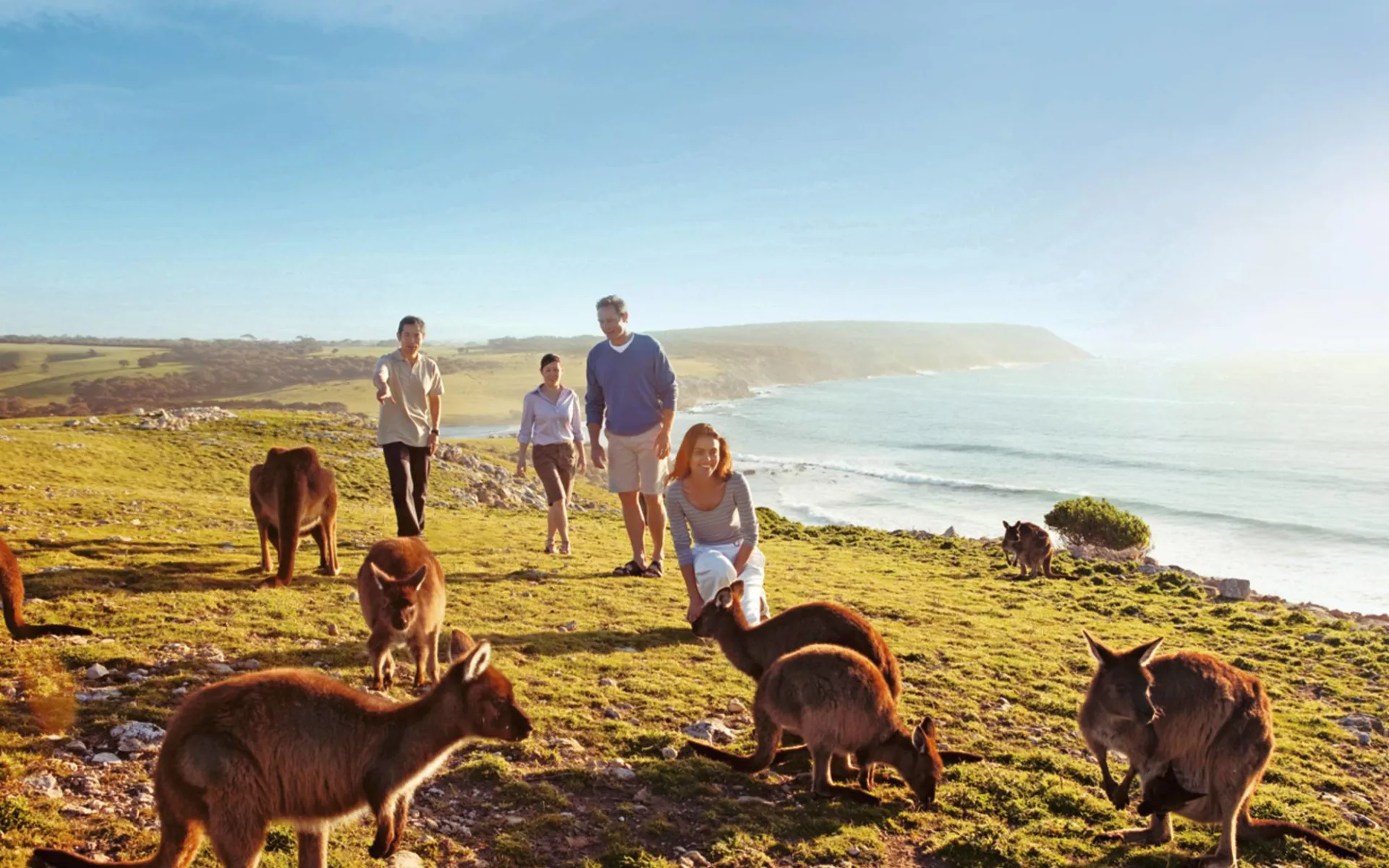 Kangaroo Island Experience ab Adelaide: Australien - Kangaroo Island - Familie mit Kangaroos Kangaroo Island Experience ab Adelaide: Australien - Kangaroo Island - Familie mit Kangaroos