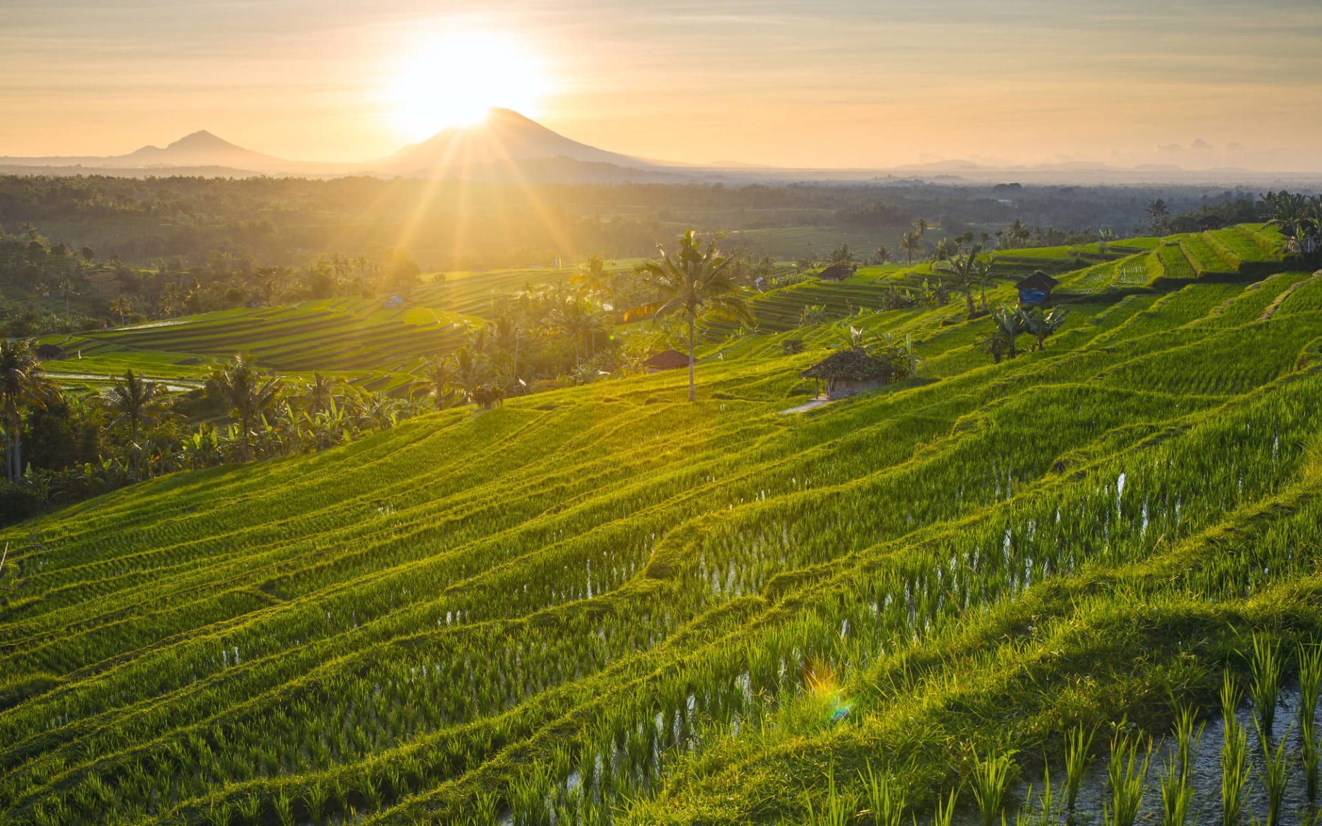 Bali aktiv erleben ab Südbali: Bali Jatiluwih Rice Terraces Bali aktiv erleben ab Südbali: Bali Jatiluwih Rice Terraces