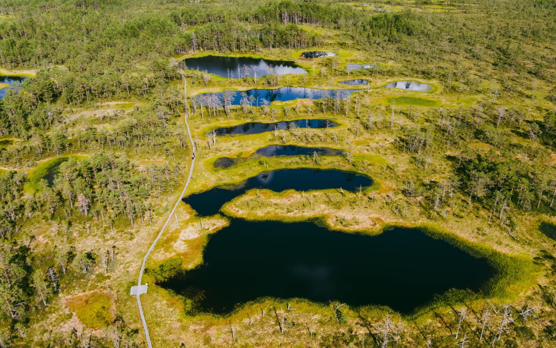Estland: Inselwelten und Nationalpark ab Tallinn: Baltikum_Lahemaa_Moore Estland: Inselwelten und Nationalpark ab Tallinn: Baltikum_Lahemaa_Moore