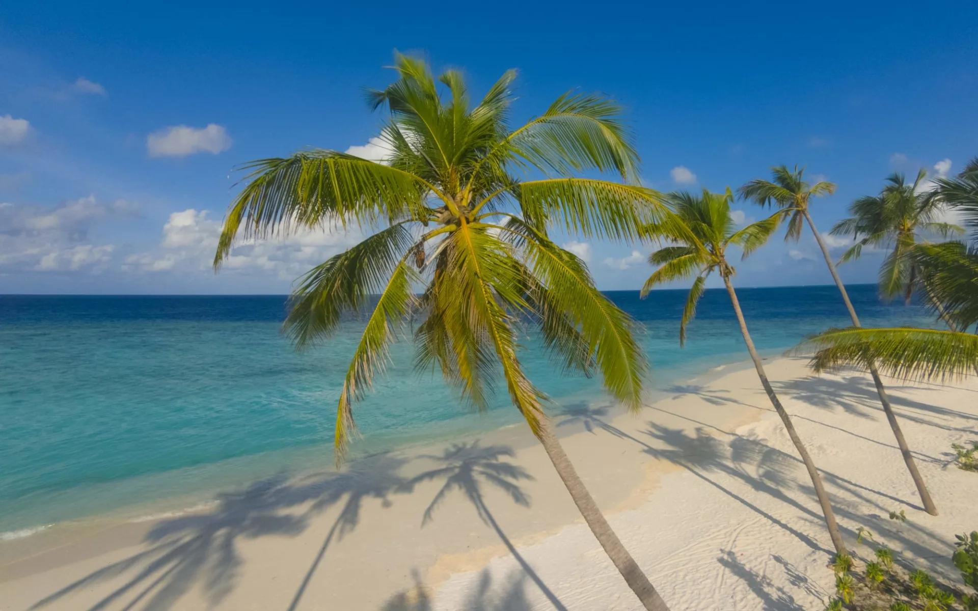 Milaidhoo Maldives in Baa-Atoll: beach: Milaidhoo Maldives in Baa-Atoll: beach: