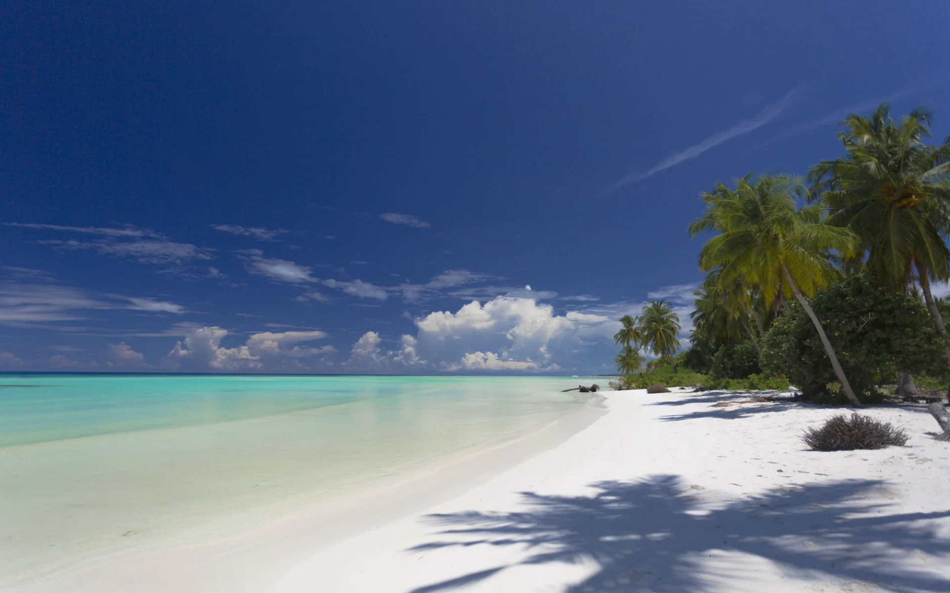 Reveries Diving Village in Laamu Gan: beach: Reveries Diving Village in Laamu Gan: beach: