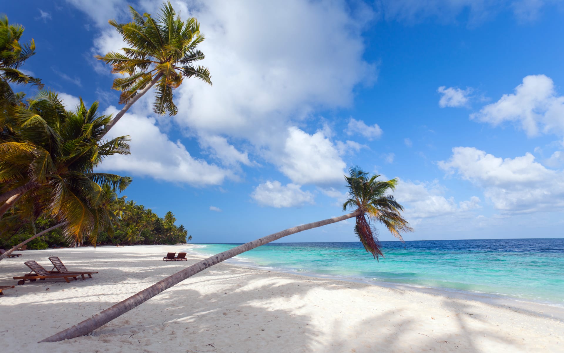 Filitheyo Island Resort in Faafu-Atoll: beach: Filitheyo Island Resort in Faafu-Atoll: beach:
