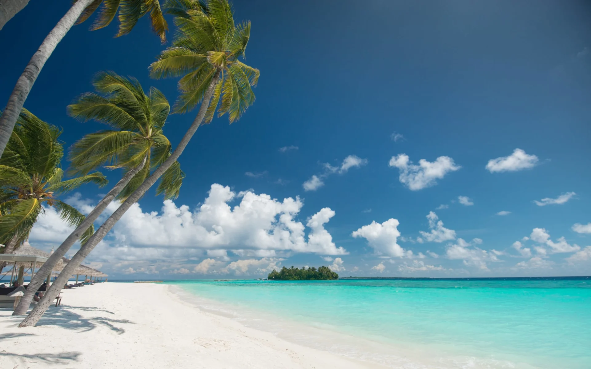 Veligandu Maldives Resort Island in Rasdhoo-Atoll: beach: Veligandu Maldives Resort Island in Rasdhoo-Atoll: beach: