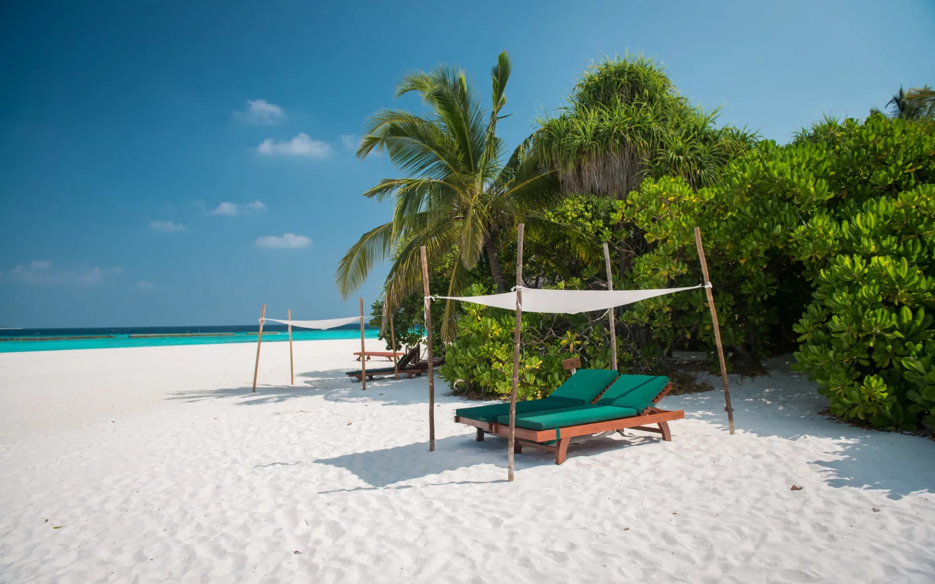 Coco Palm Dhuni Kolhu in Baa-Atoll: beach: Coco Palm Dhuni Kolhu in Baa-Atoll: beach: