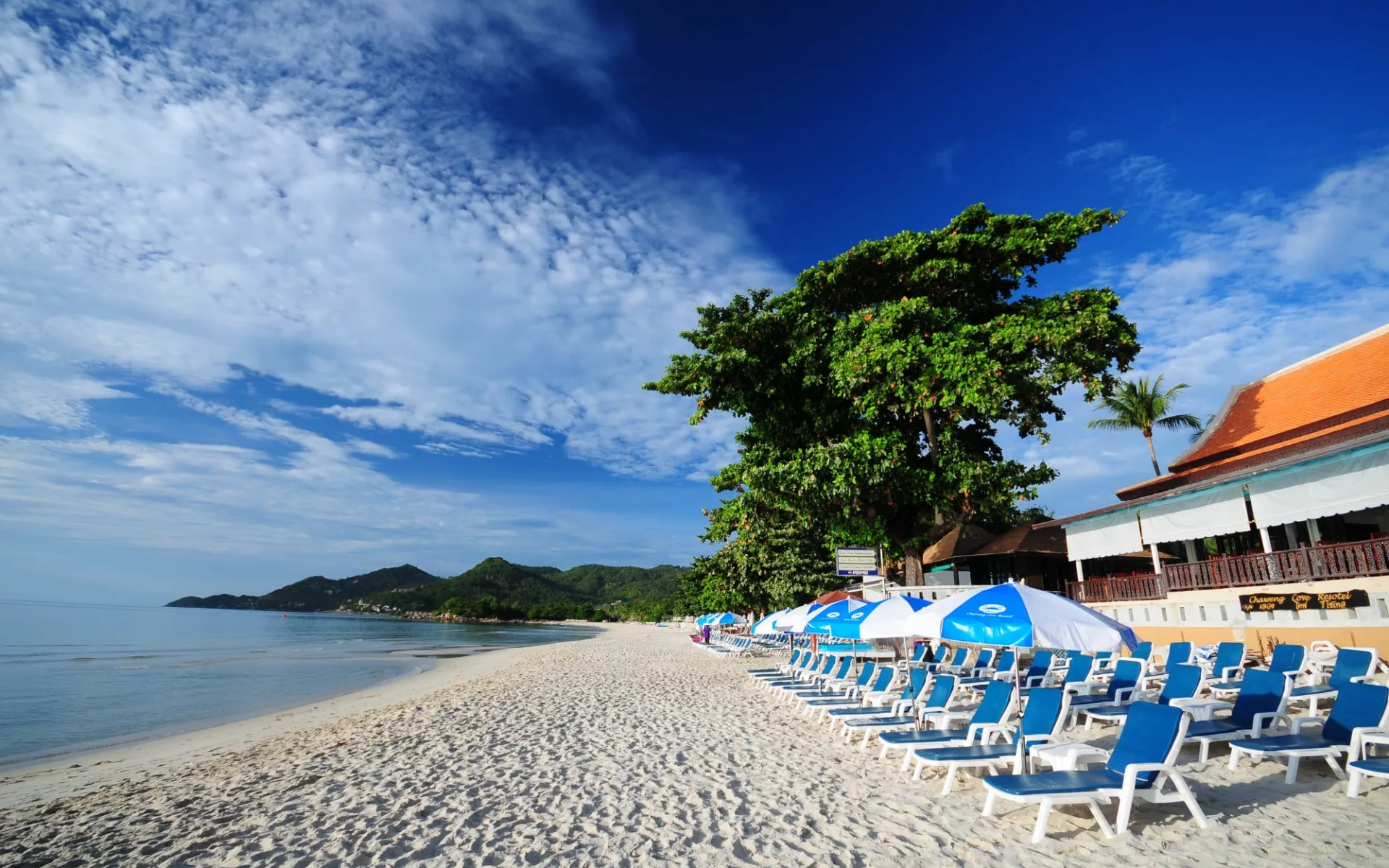 Chaweng Cove Beach Resort in Ko Samui:  Beach
