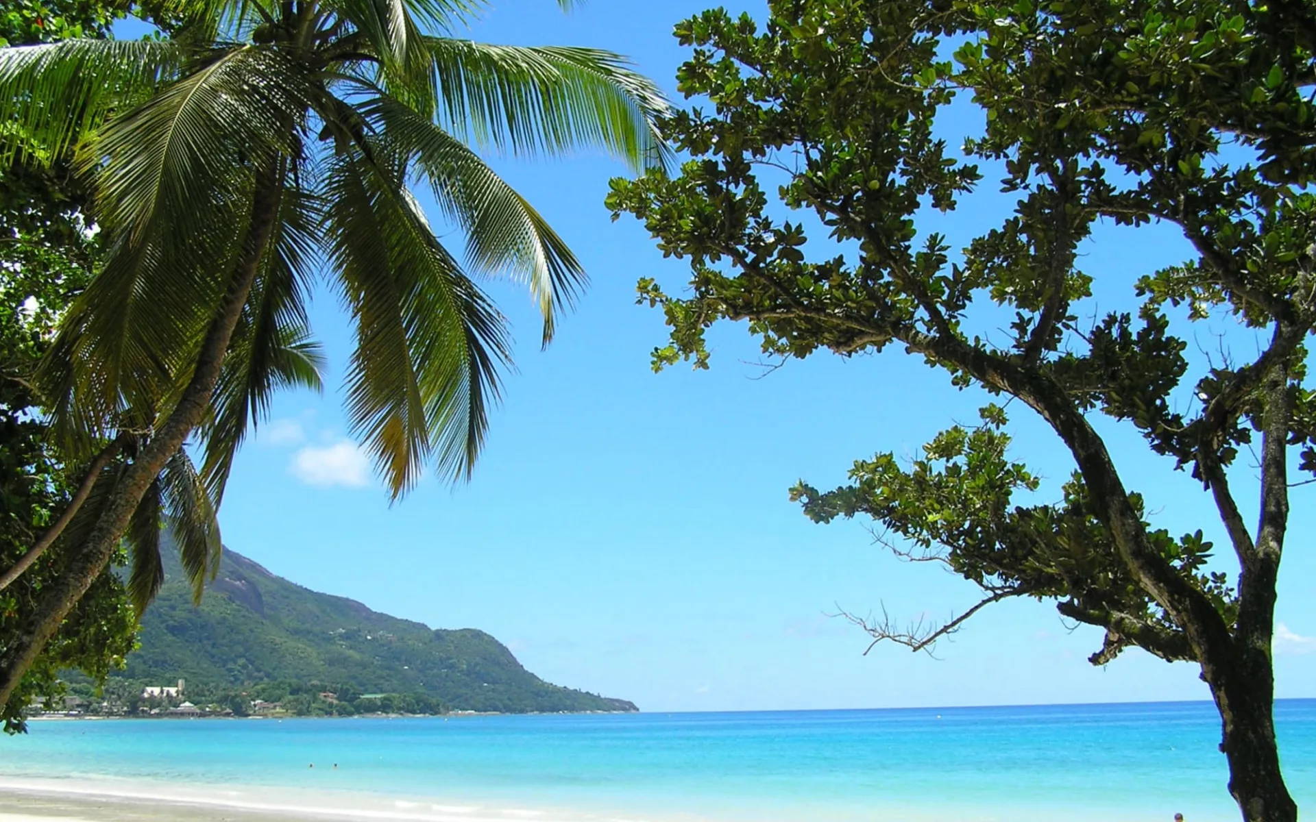 Hanneman Holiday Residence in Mahé: beach: 