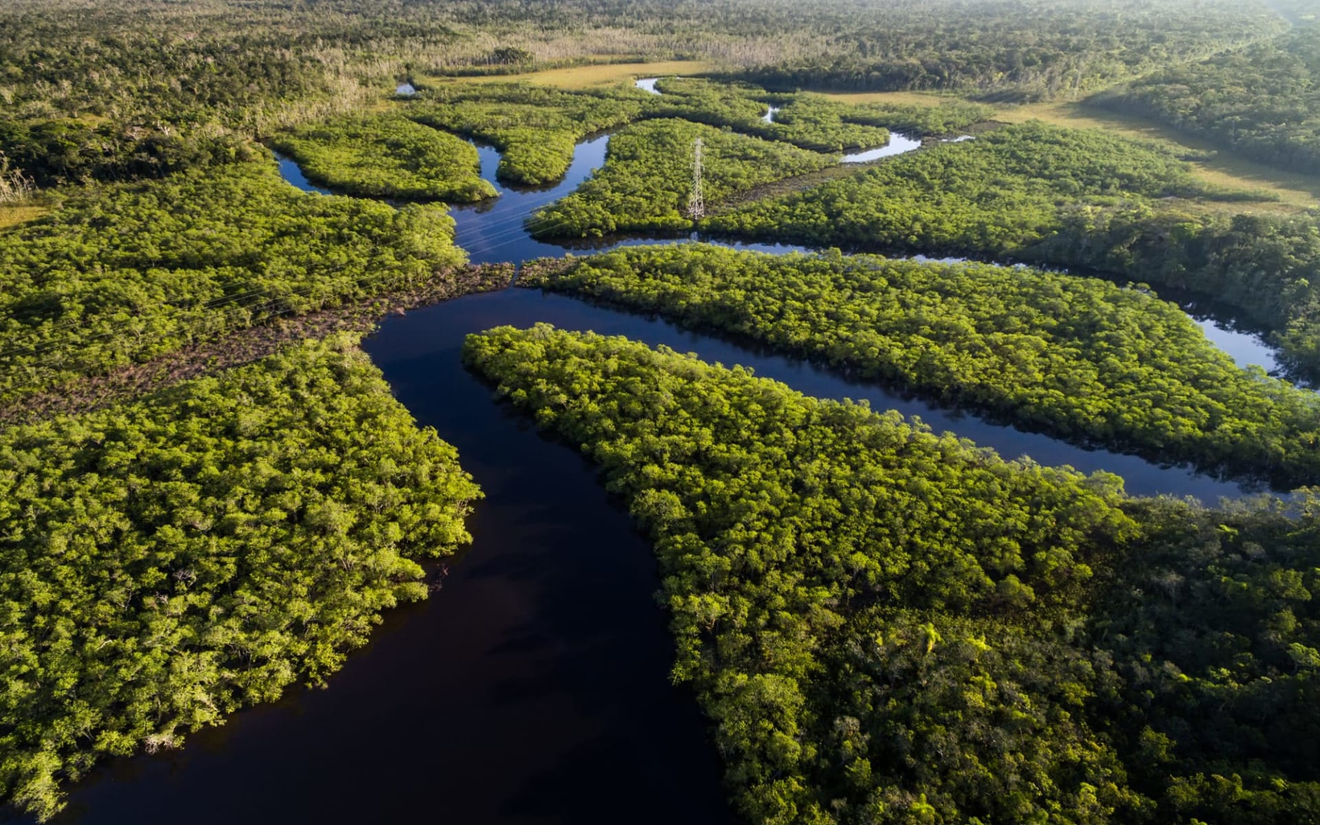Iberostar / Rio Negro Programm ab Manaus: Brasilien - Amazonas - Fluss Vogelperspektive