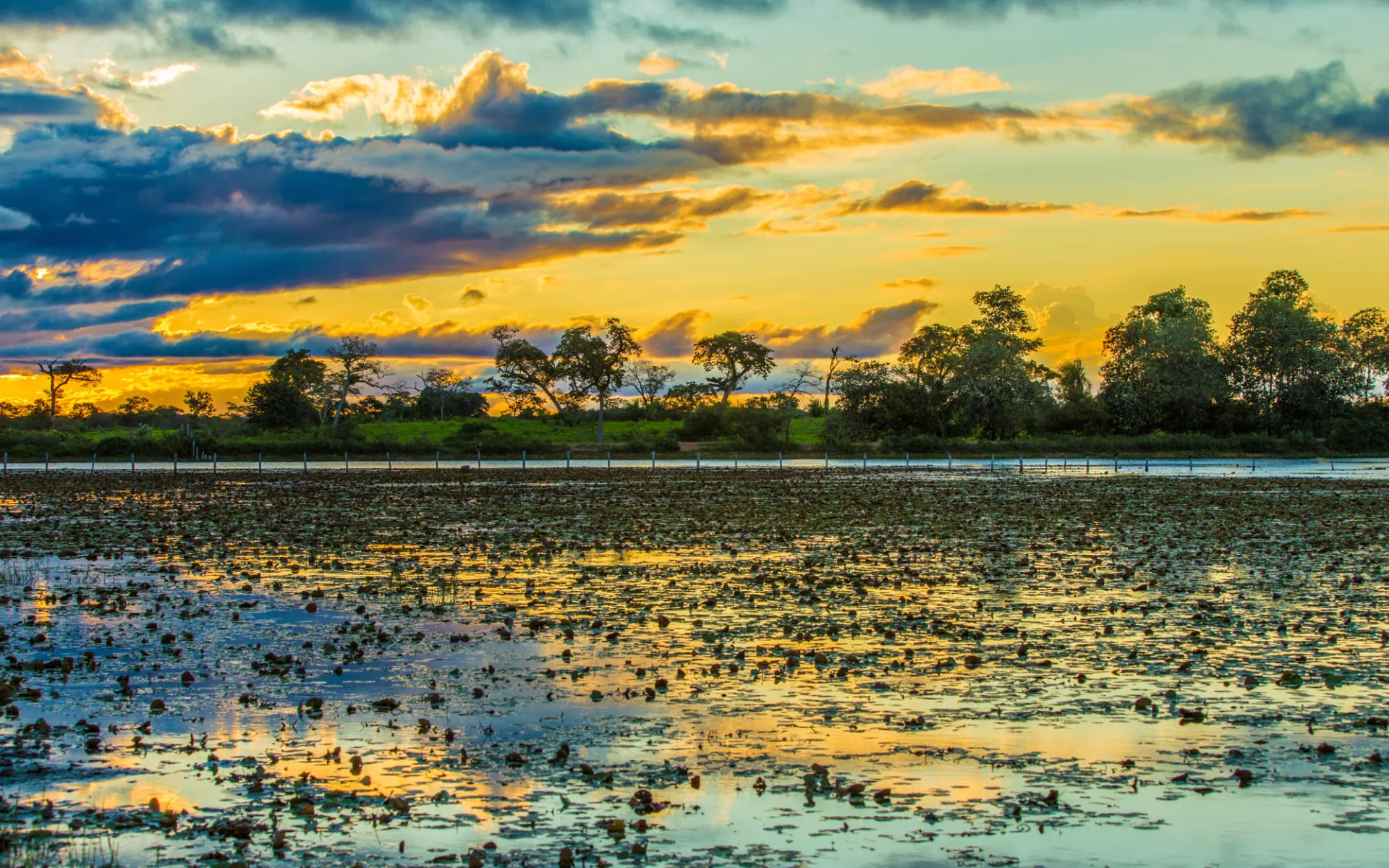 Pousada UeSo Pantanal 4 Tage ab Cuiabá: Pantanal