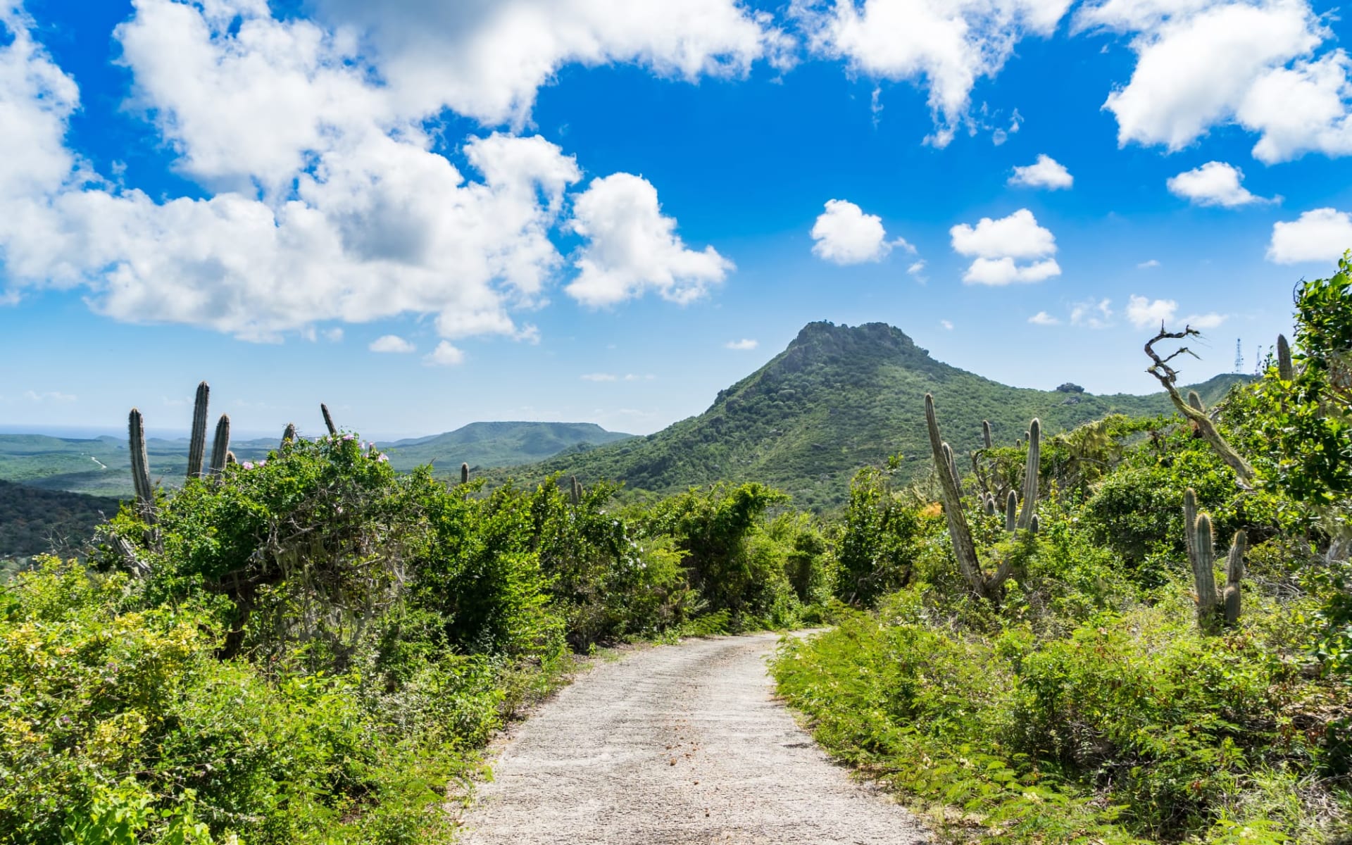 ABC-Inseln: Island Hopping auf Aruba, Bonaire & Curaçao: Christoffel National park, Curaçao