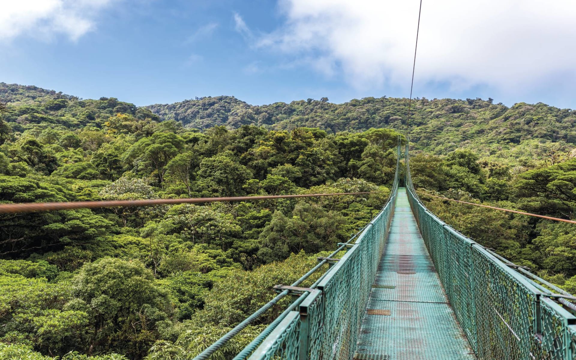 Entschleunigt durch Costa Rica ab San José City: Costa Rica - Monteverde - Hängebrücke Entschleunigt durch Costa Rica ab San José City: Costa Rica - Monteverde - Hängebrücke