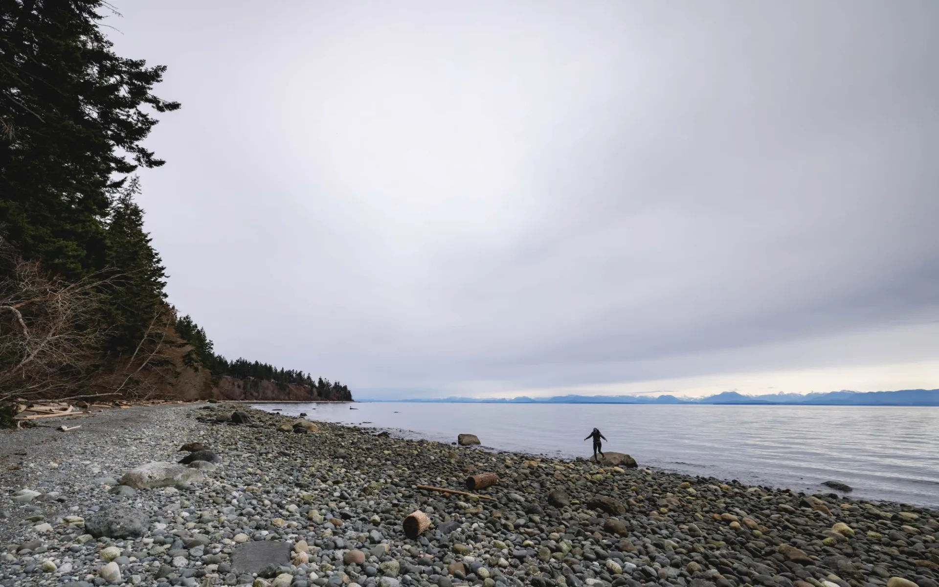 British Columbia - Zwischen Berggipfeln und Pazifikbuchten ab Vancouver: Courtenay British Columbia - Zwischen Berggipfeln und Pazifikbuchten ab Vancouver: Courtenay
