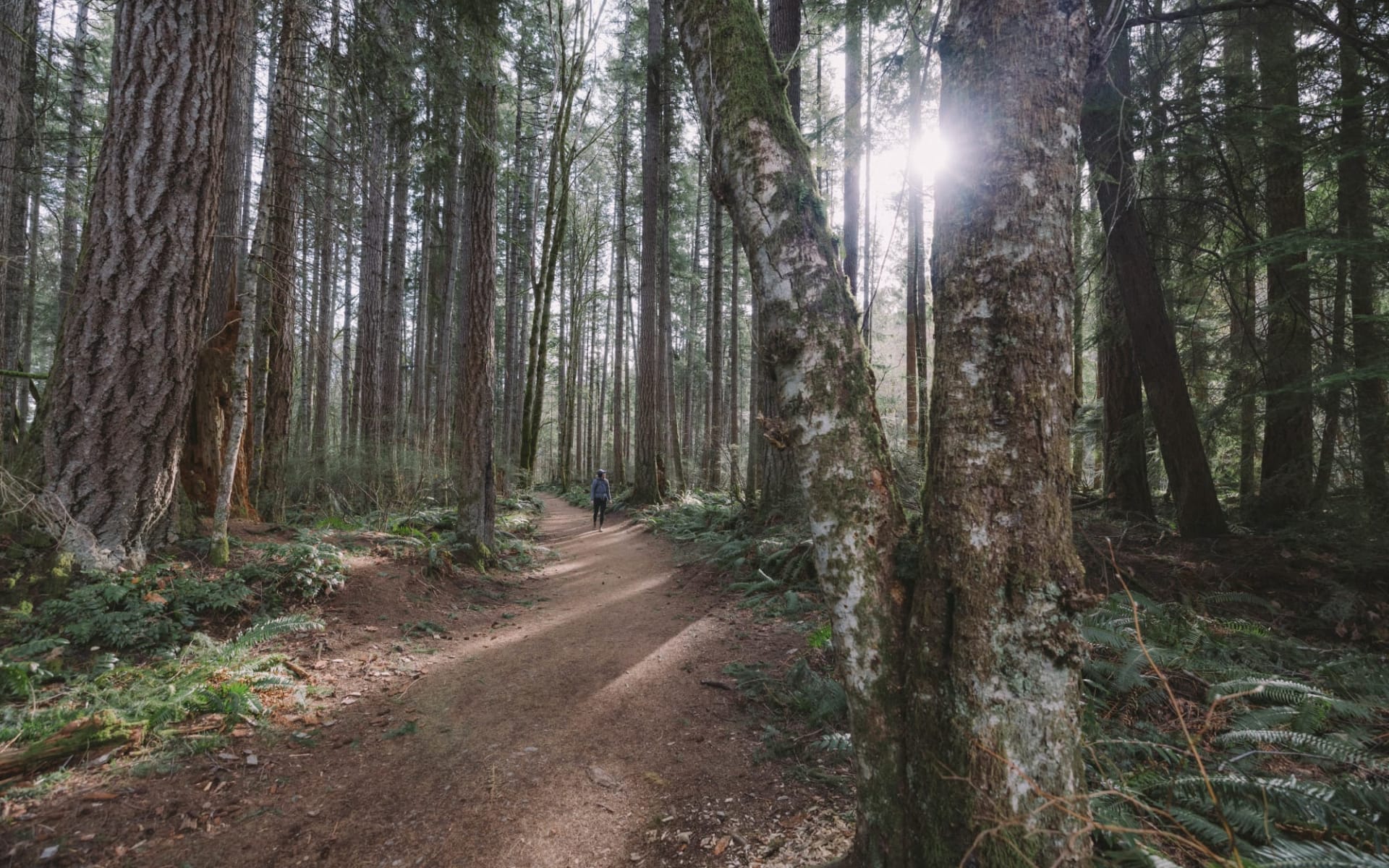 British Columbia - Zwischen Berggipfeln und Pazifikbuchten ab Vancouver: Courtenay British Columbia - Zwischen Berggipfeln und Pazifikbuchten ab Vancouver: Courtenay