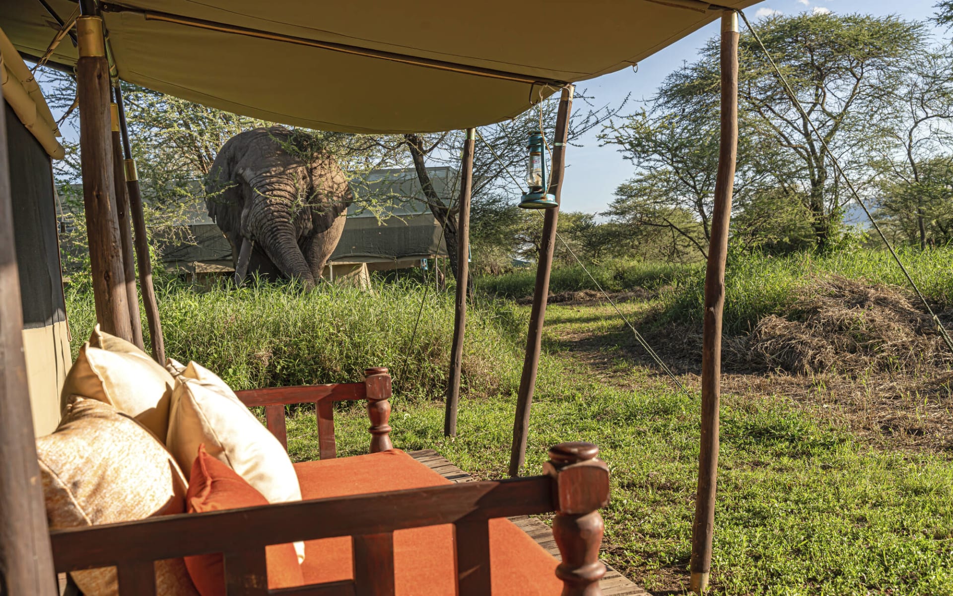 Lemala Ewanjan Tented Camp in Serengeti: exterior: Lemala Ewanjan Tented Camp in Serengeti: exterior: