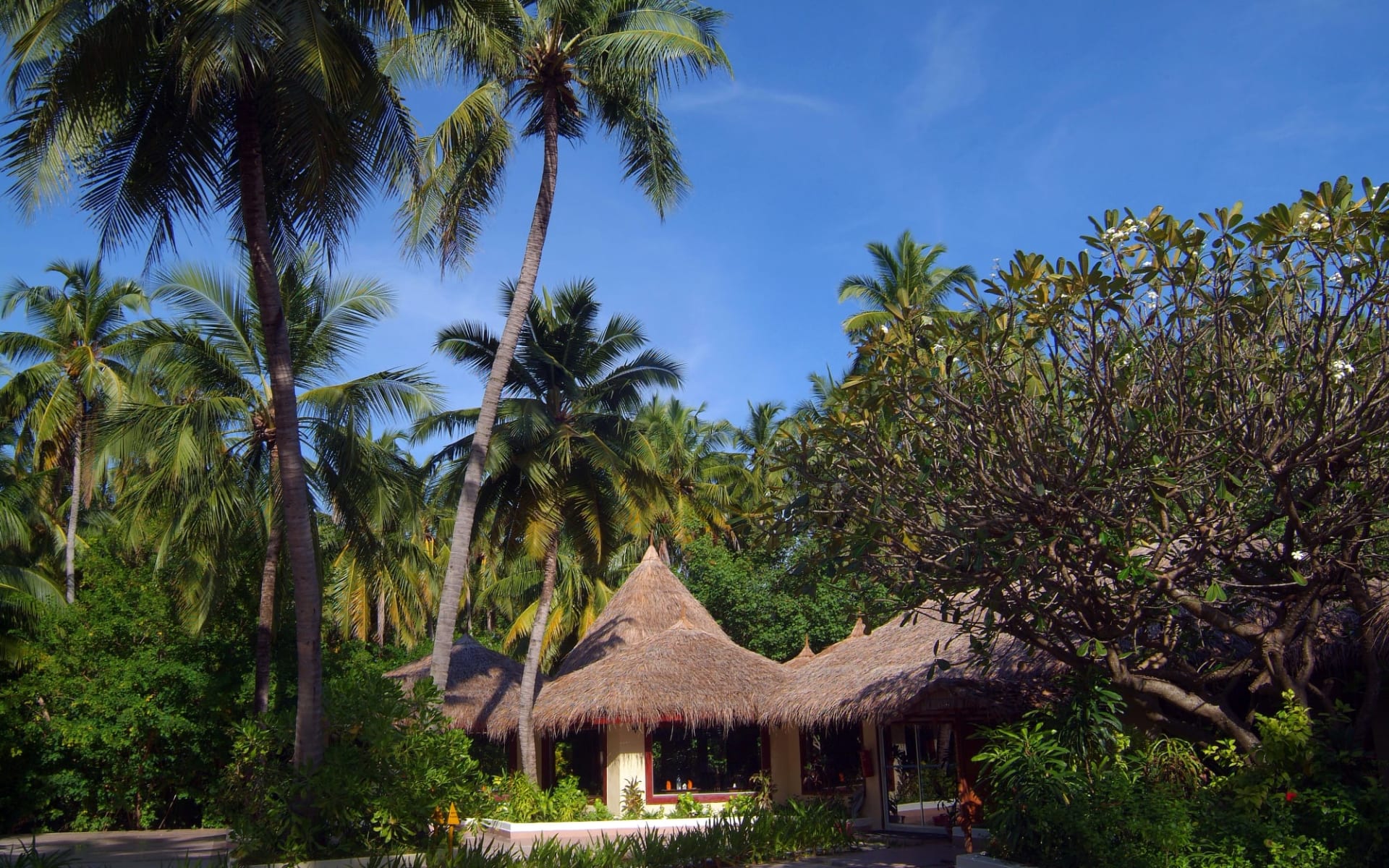 Biyadhoo Island Resort in Südmale-Atoll: exterior: Biyadhoo Island Resort in Südmale-Atoll: exterior: