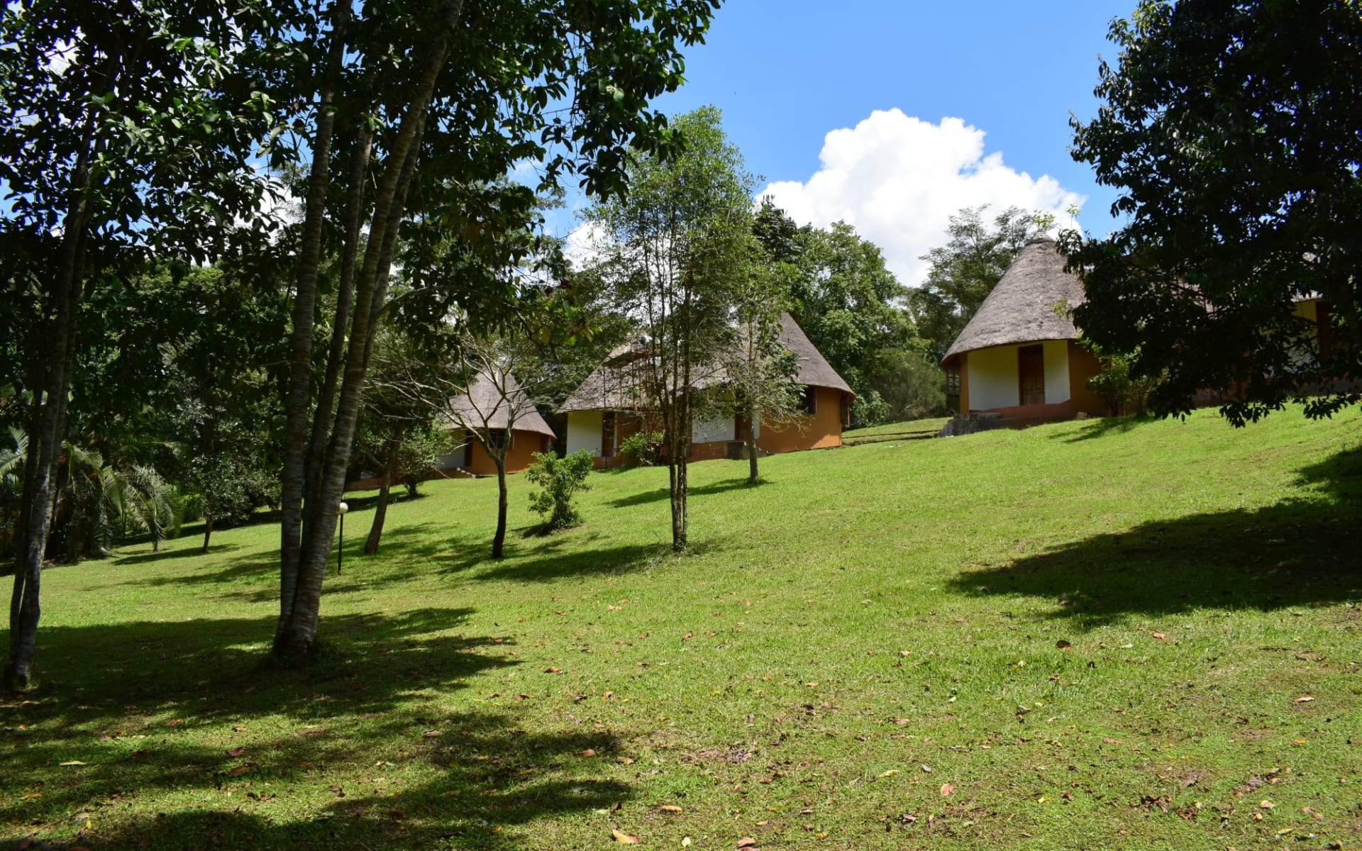 Kibale Guest Cottages in Kibale Forest: exterior: