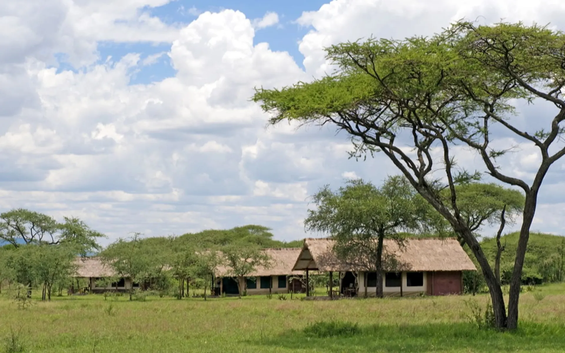 Ikoma Tented Camp in Serengeti: exterior: Ikoma Tented Camp in Serengeti: exterior: