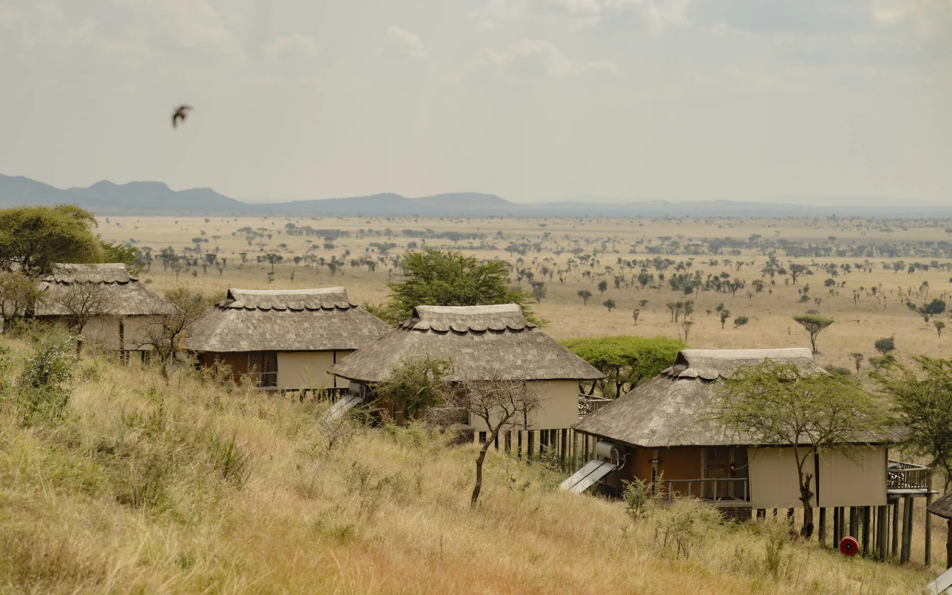 Kubu Kubu Tented Lodge in Serengeti: exterior: Kubu Kubu Tented Lodge in Serengeti: exterior:
