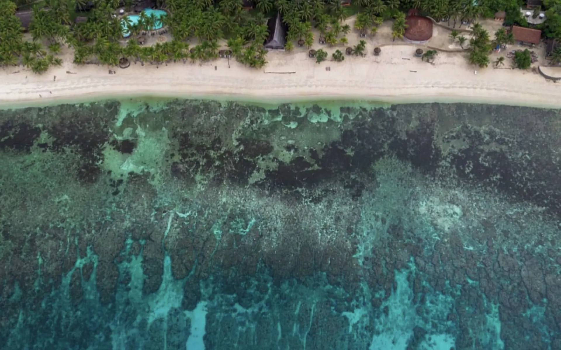 Coco Grove Beach Resort in Siquijor:  Areal View