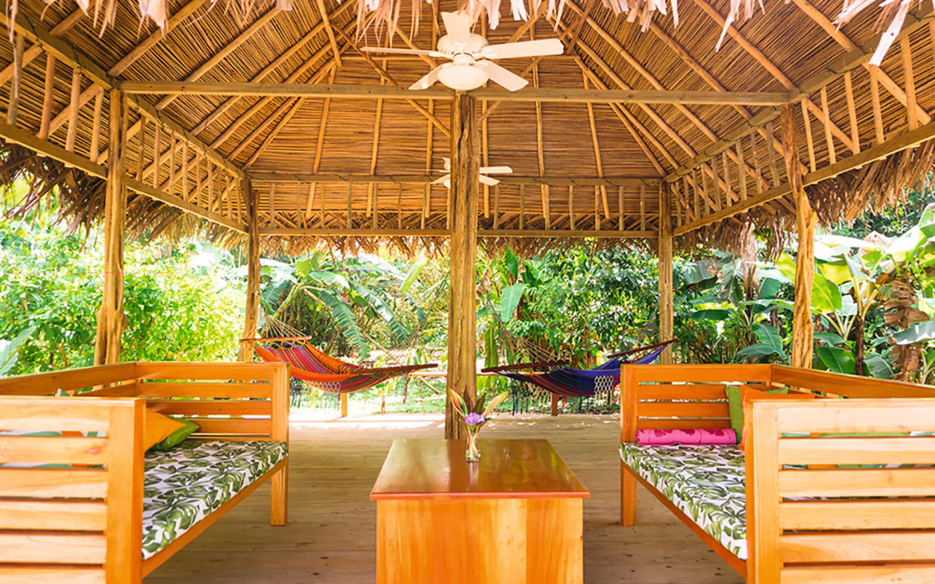 The Hummingbird Hotel in Isla Colon: Exterior - The Hummingbird Hotel - 03 hammocks