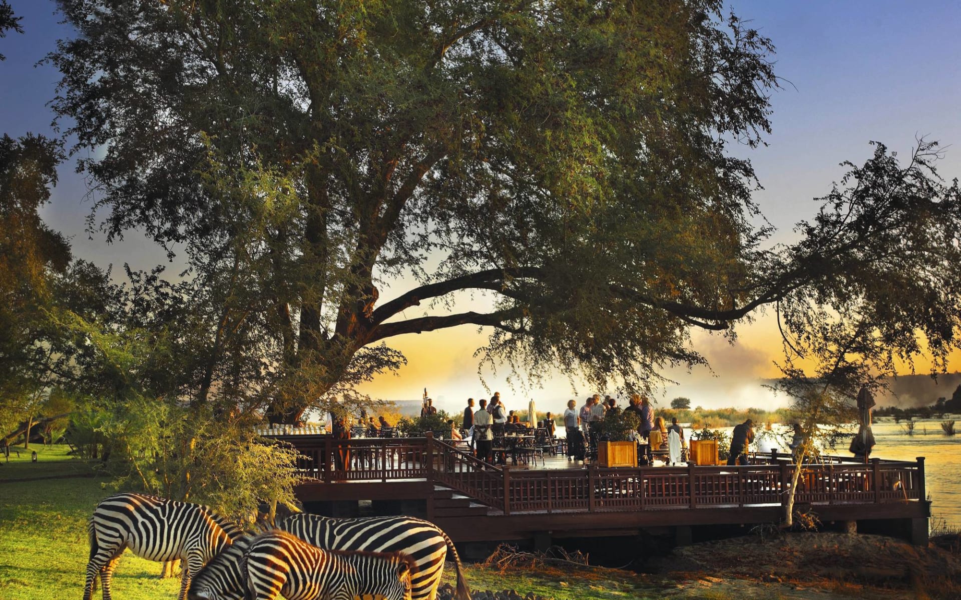Royal Livingstone Hotel by ANANTARA: Exterior The Royal Livingstone Sitzplatz mit Zebras ausserhalb Royal Livingstone Hotel by ANANTARA: Exterior The Royal Livingstone Sitzplatz mit Zebras ausserhalb