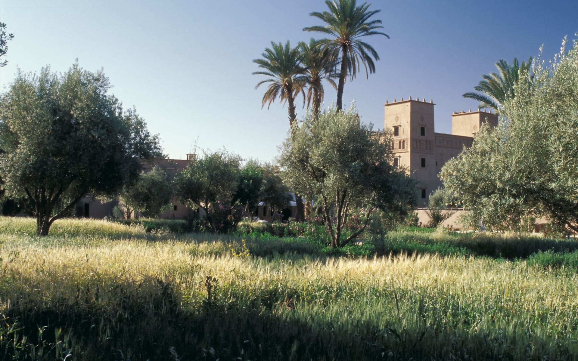 Dar Ahlam in Skoura: exterior: Dar Ahlam in Skoura: exterior: