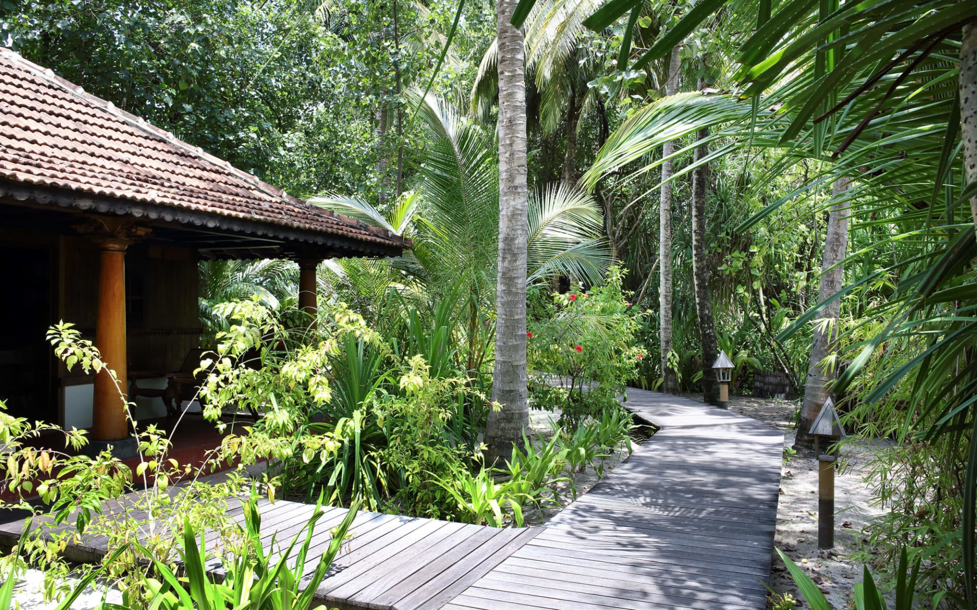 Gangehi Island Resort in Ari-Atoll: facilities: Gangehi Island Resort in Ari-Atoll: facilities: