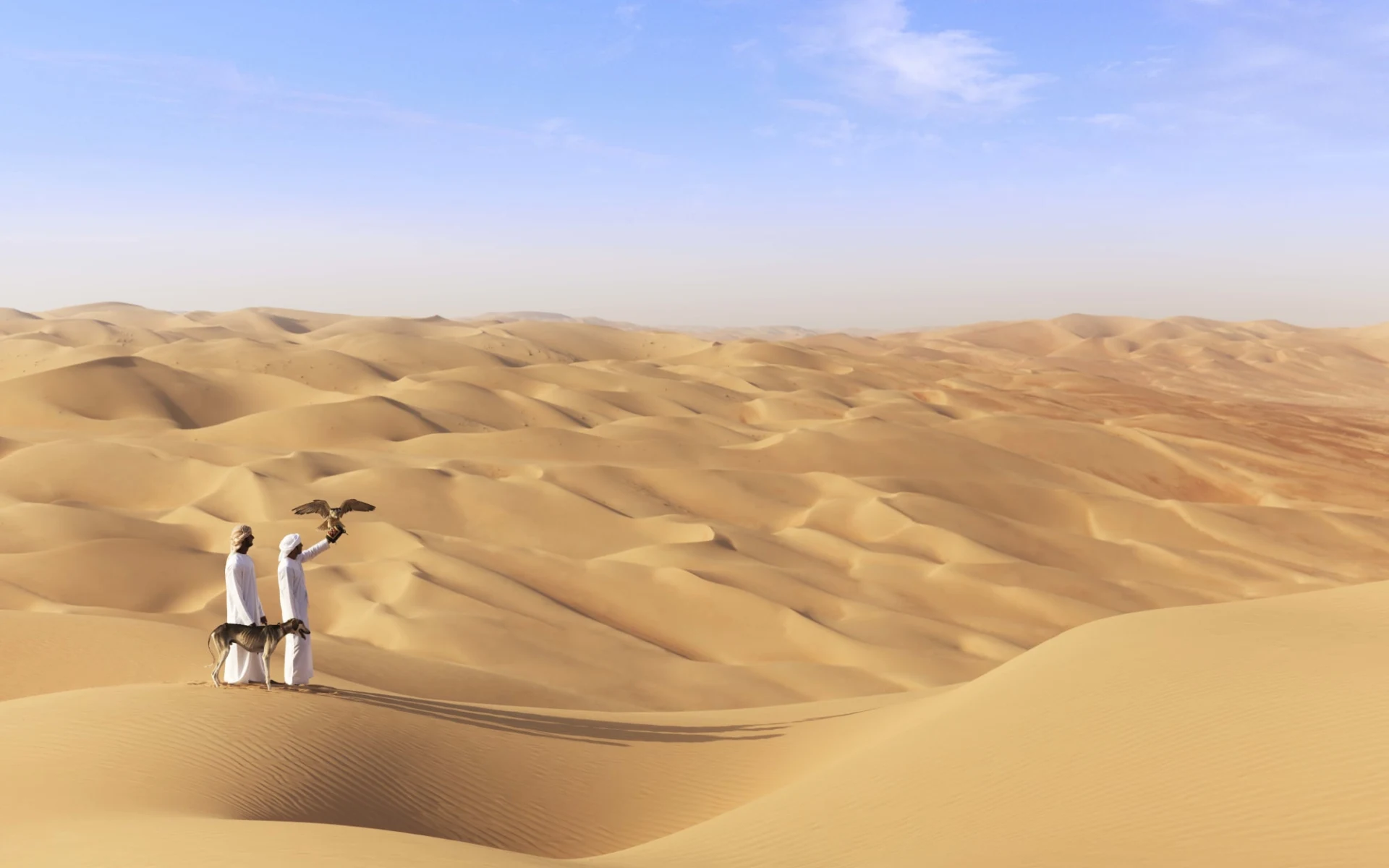 Schätze Abu Dhabis ab Dubai: activities: Schätze Abu Dhabis ab Dubai: activities: