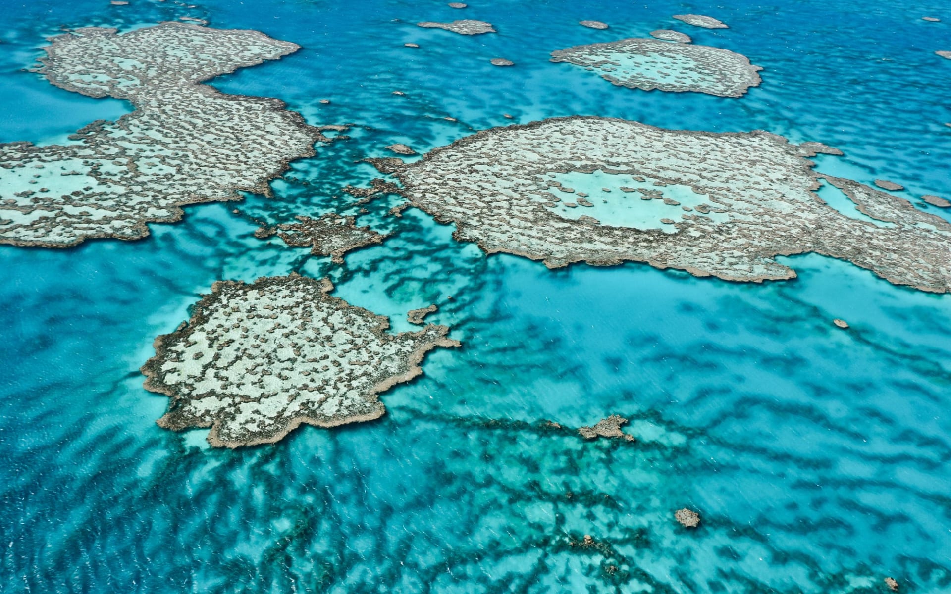 Tauchen am Great Barrier Reef ab Cairns: Great Barrier Reef Tauchen am Great Barrier Reef ab Cairns: Great Barrier Reef