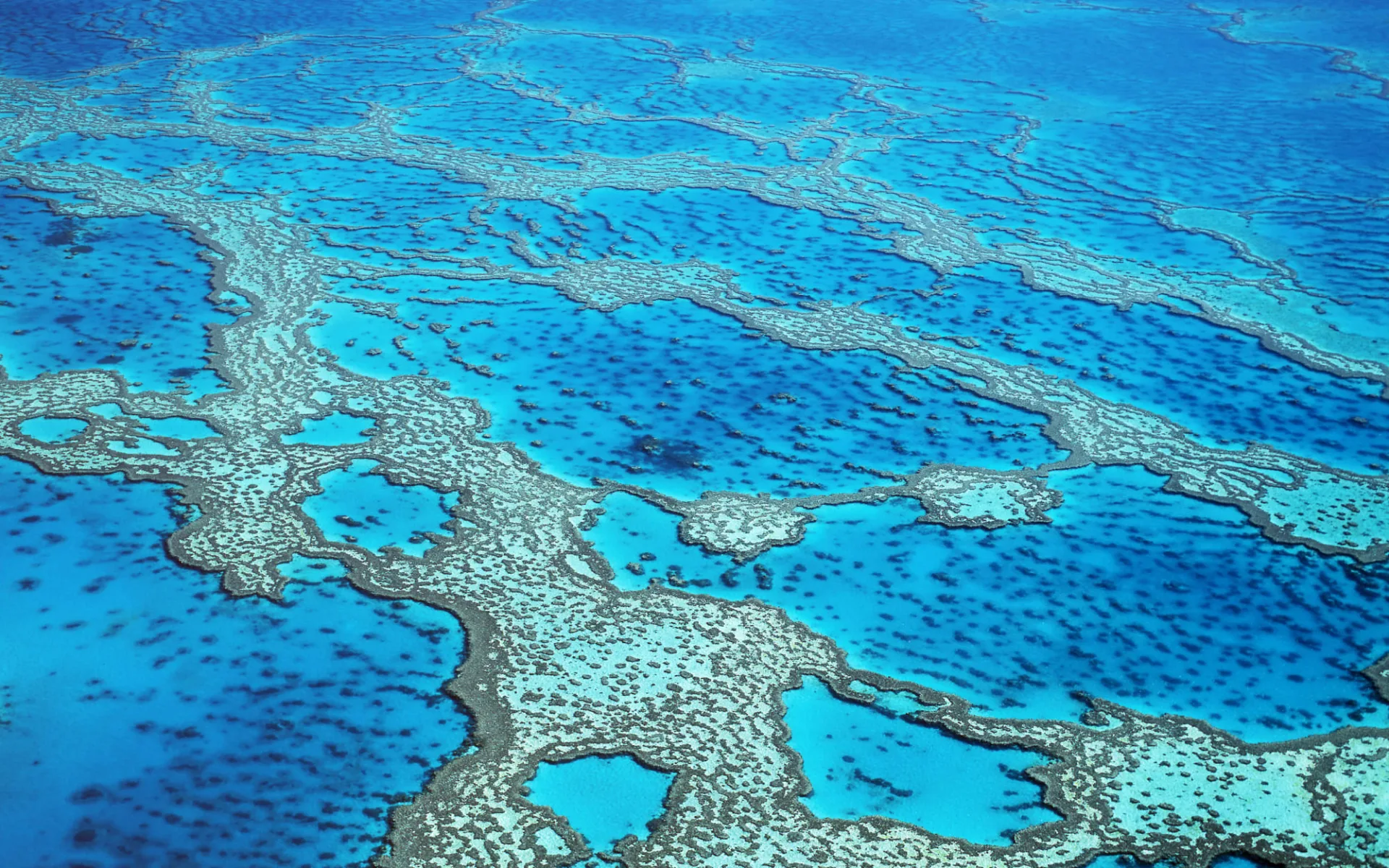 Reef Sleep ab Airlie Beach: Great Barrier Reef - Reefsleep Reef Sleep ab Airlie Beach: Great Barrier Reef - Reefsleep