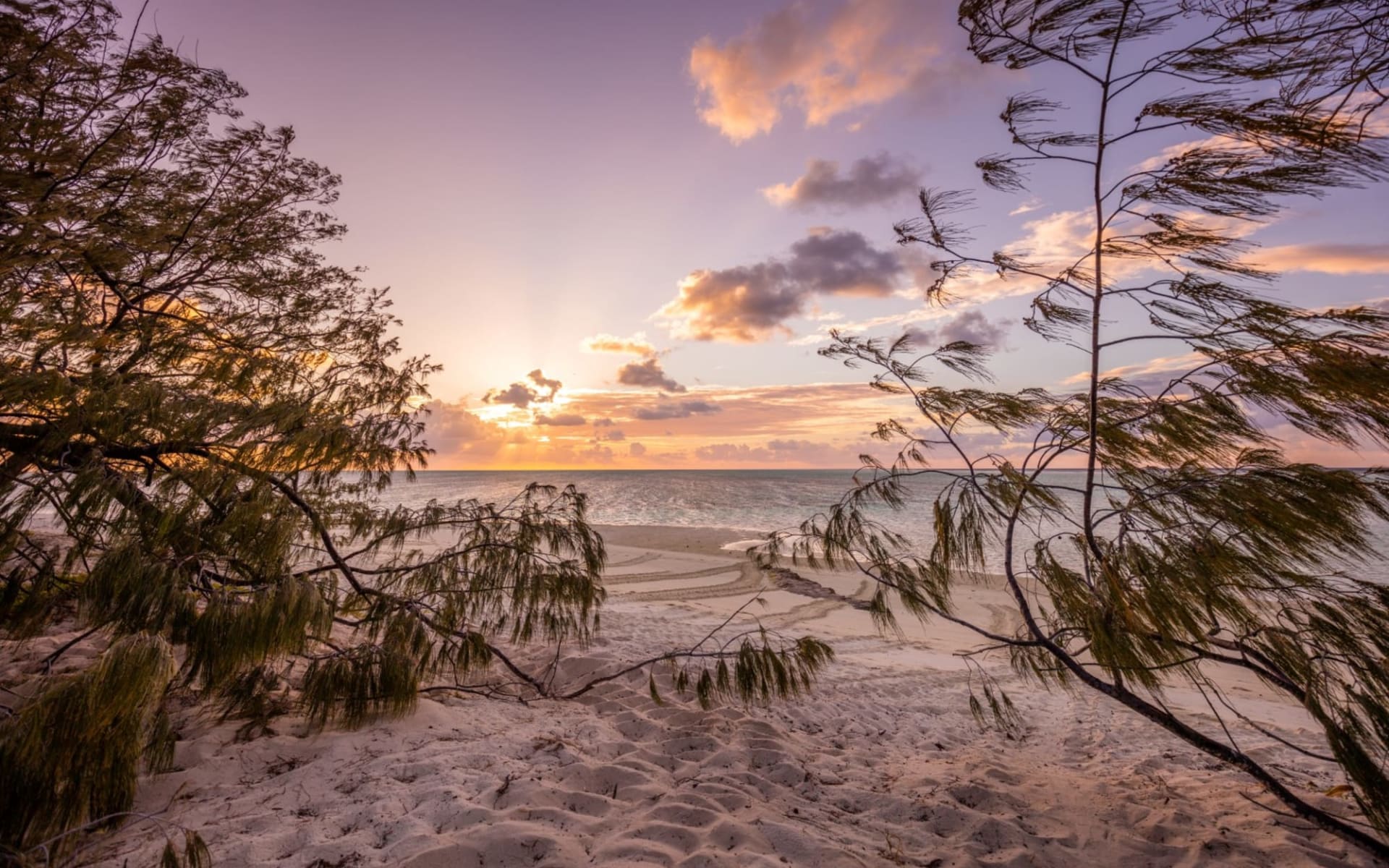 Heron Island Resort: Heron-island_beach Heron Island Resort: Heron-island_beach