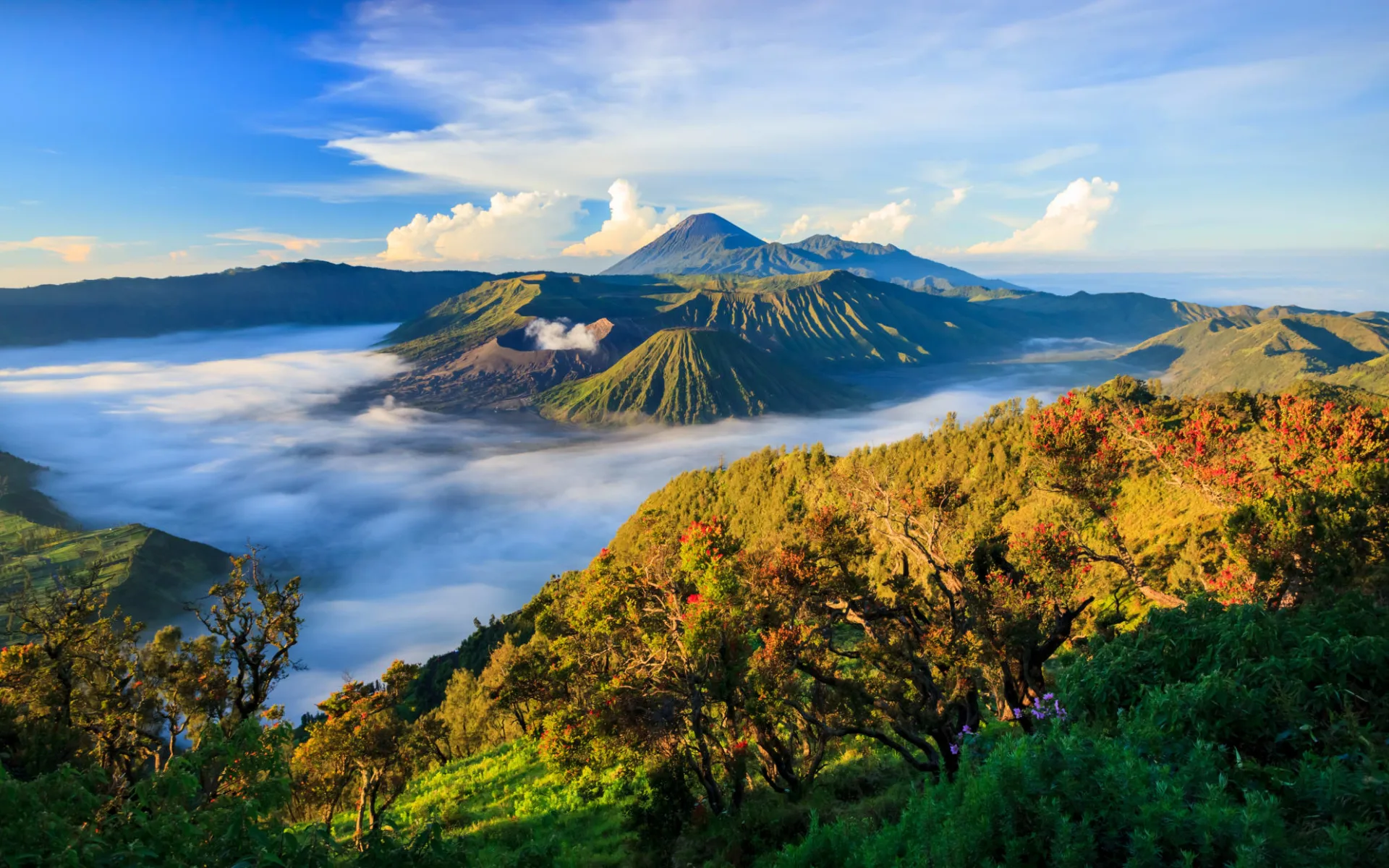 Java-Bali Kompakt ab Yogyakarta: Java Mount Bromo Java-Bali Kompakt ab Yogyakarta: Java Mount Bromo